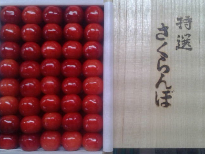生産者のこだわり