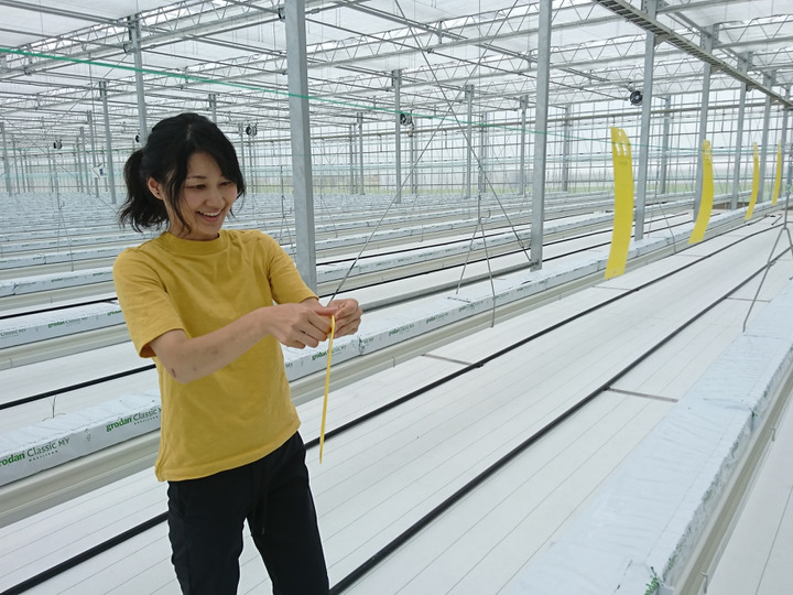 生産者のこだわり