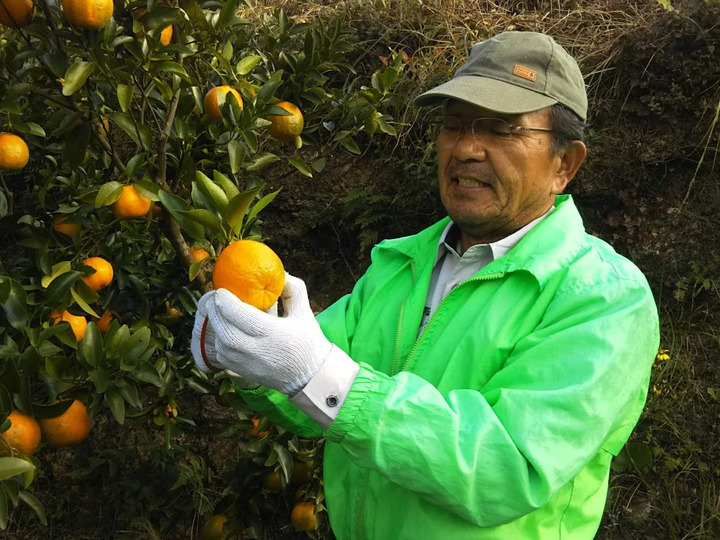 生産者のこだわり