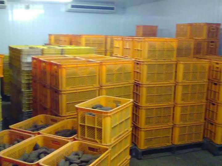 生産者のこだわり