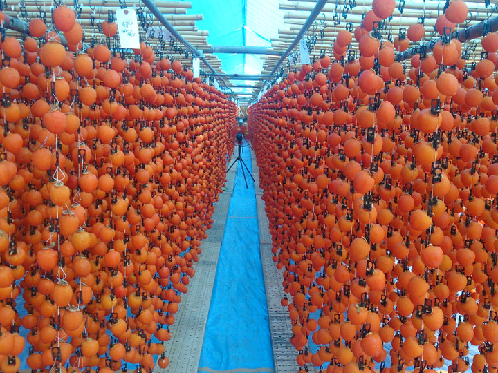 生産者のこだわり