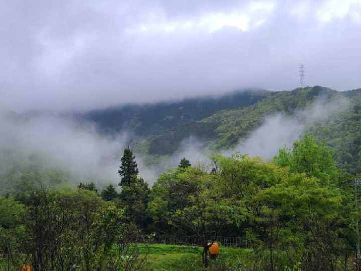 Fumico farmは主に高冷地栽培