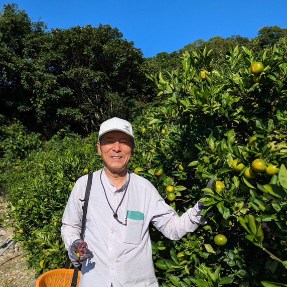 すべての生産者｜67ページ目｜食べチョク｜産地直送(産直)お