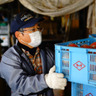 河野蜜柑農園（Kawano Mikan Farm）