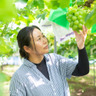 農園くるり