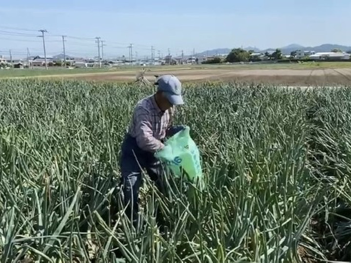 生産者のこだわり