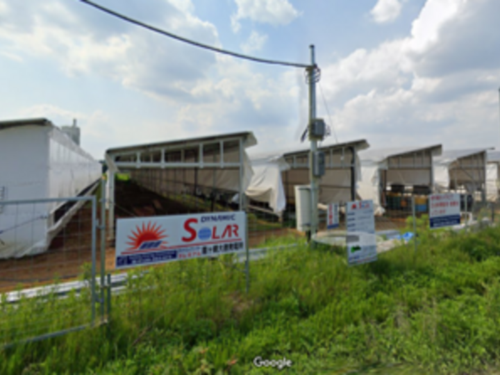 ぷりぷり食感！純国産乾燥きくらげ：茨城県産の野菜｜食べチョク｜産地直送(産直)お取り寄せ通販 - 農家・漁師から旬の食材を直送