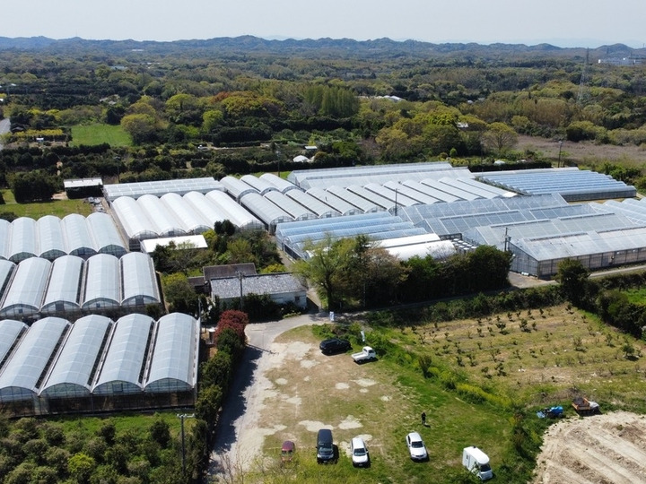 お客さん、農家を守るため最小限の農薬