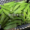 ゆづのおくら