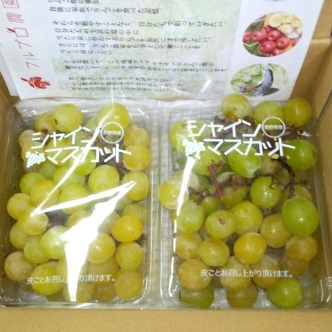 加工用】シャインマスカット 900g（約450g×2pc 約2房分）長野名産・皮
