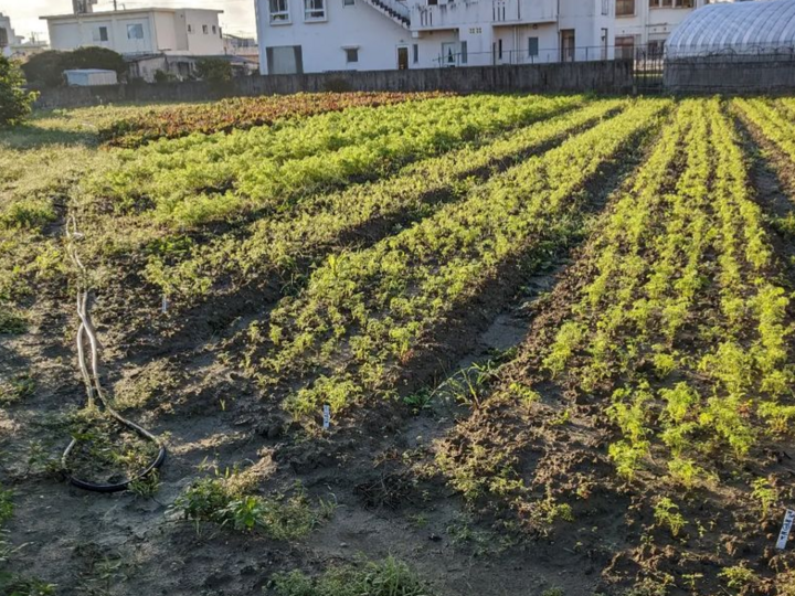 生産者のこだわり