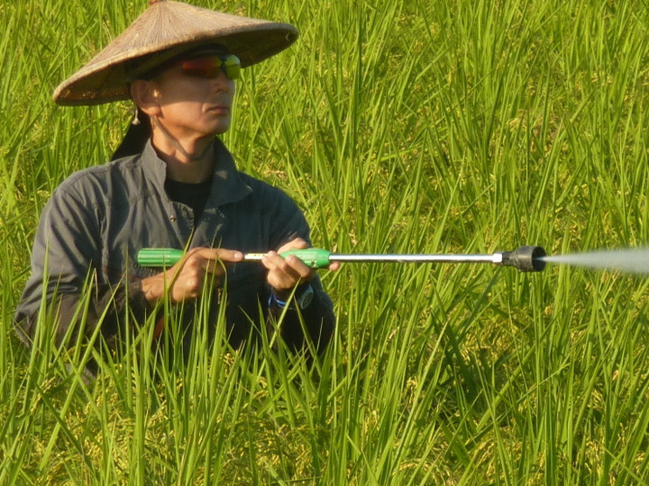 葉面散布