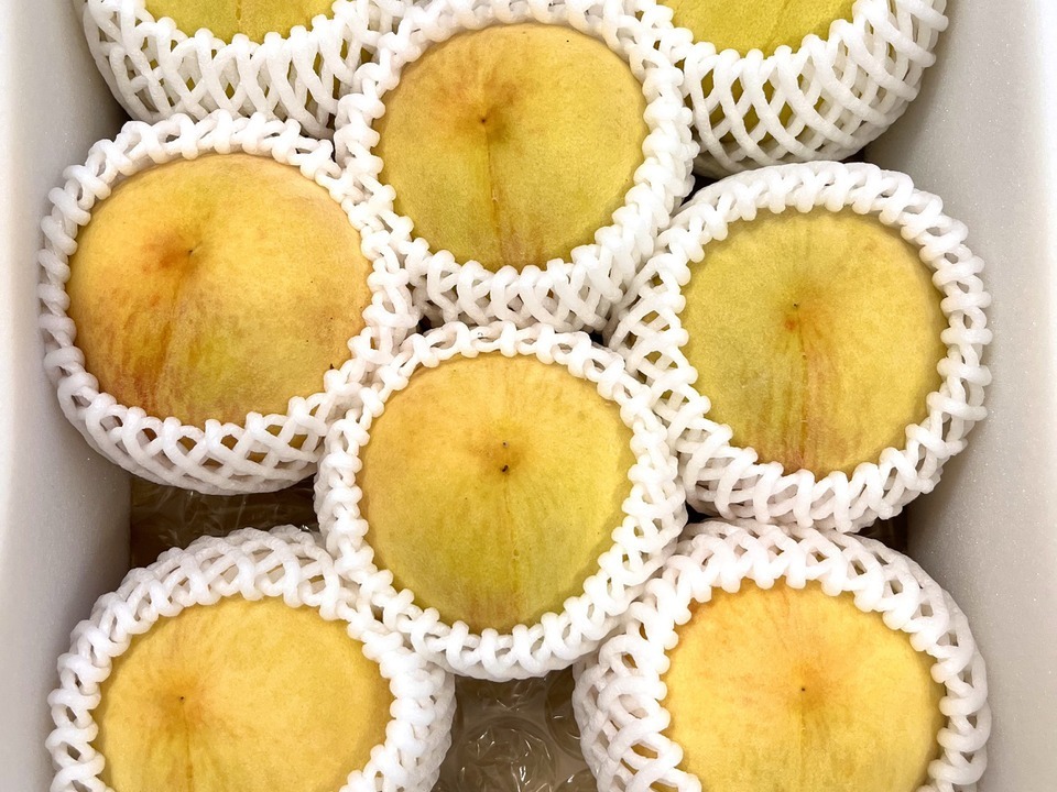 りんご＆黄金桃ー３キロ✕２箱