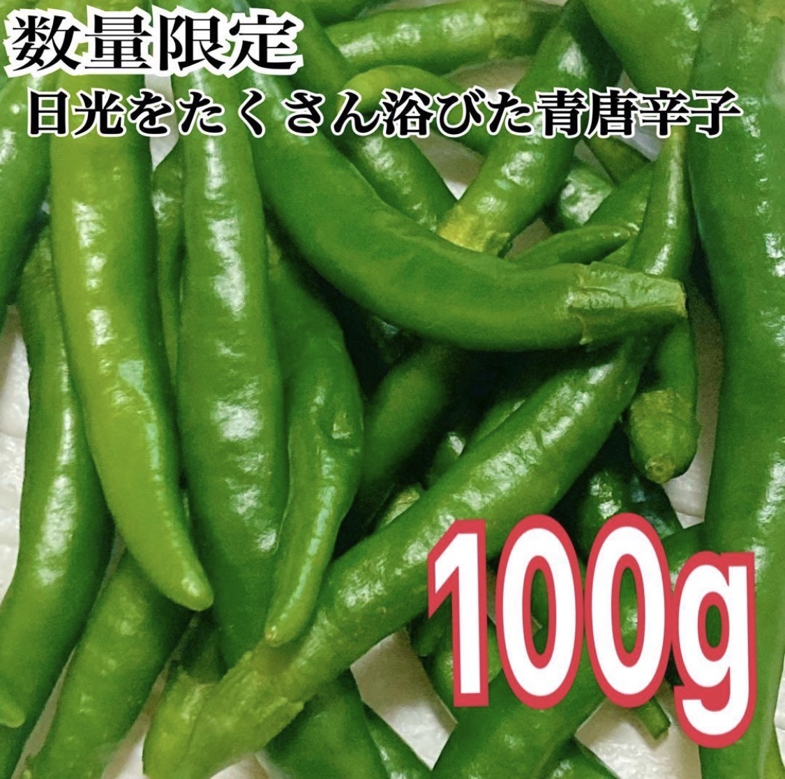 朝採れの青唐辛子をおとどけ【100g】：岡山県のレビュー｜食べチョク