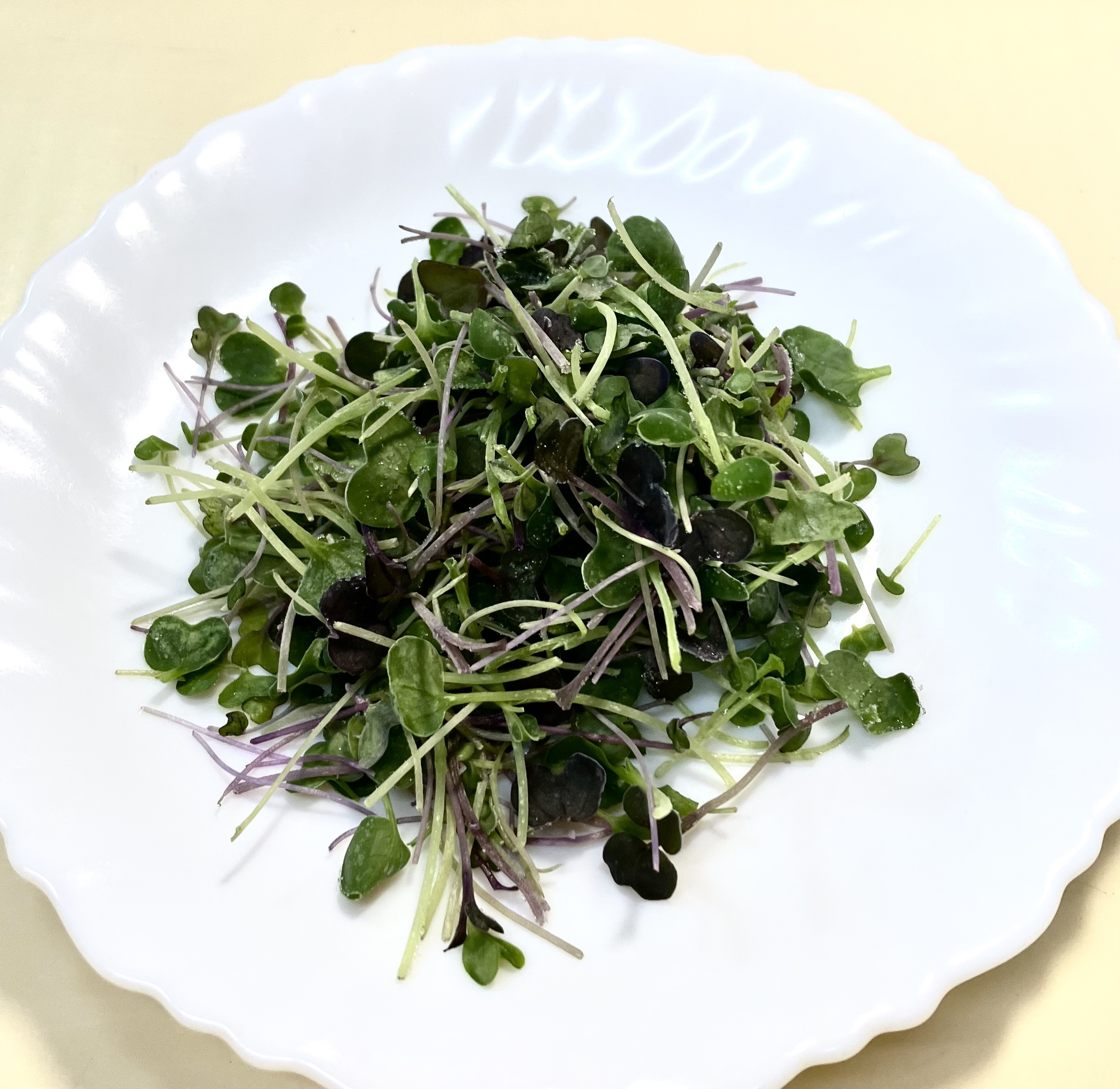 野菜 Maaya 冷凍マイクロリーフミックス 100g【少しの量で栄養タップリ