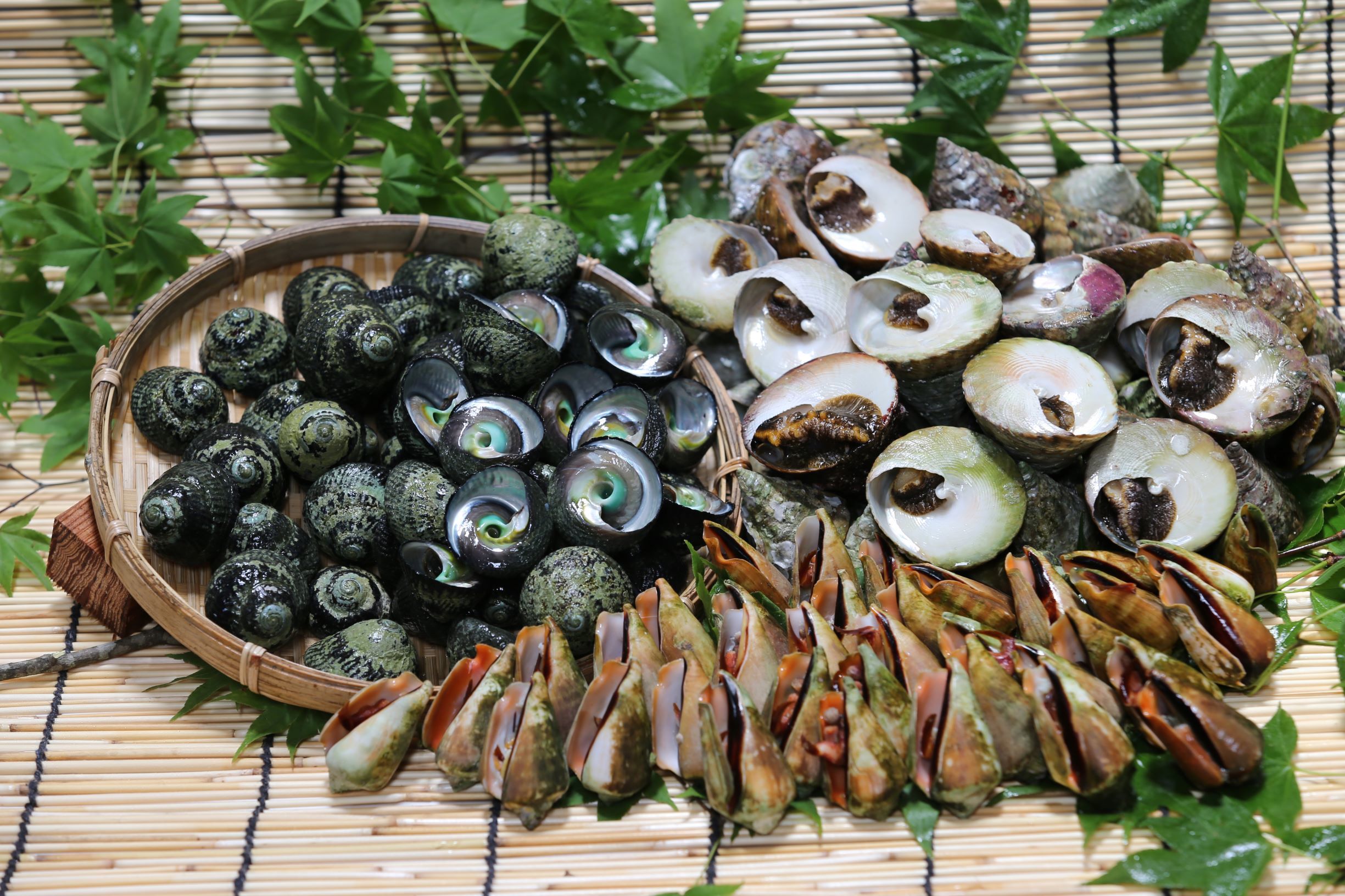 袋のまま冷凍のままレンジでチン】三種お特盛‼ 素潜り漁師厳選