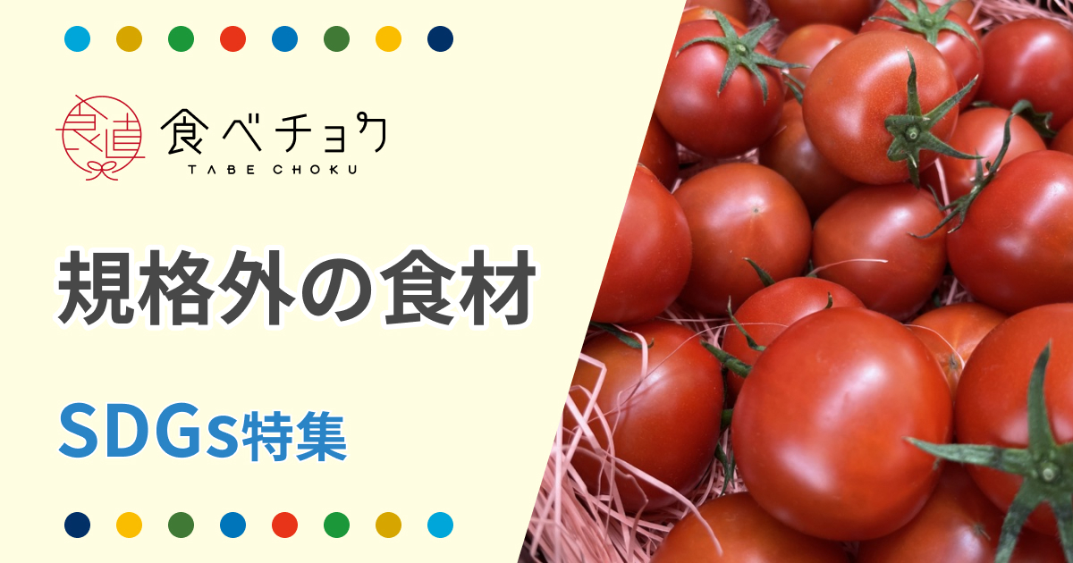 SDGs特集】市場に出回らない規格外の食材｜食べチョク｜産地直送(産直