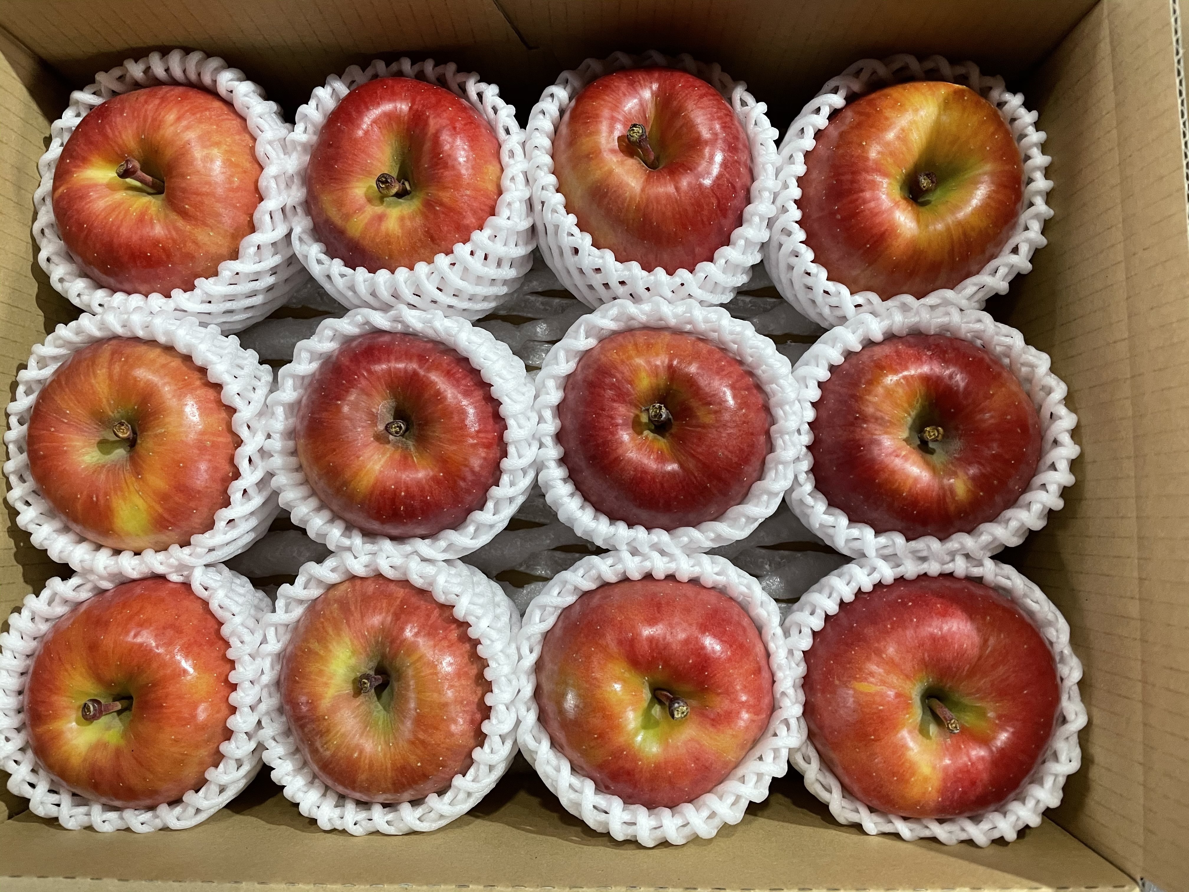 先行予約】蜜入りりんご高徳（こうとく）約2.5〜3キロ（11〜12個