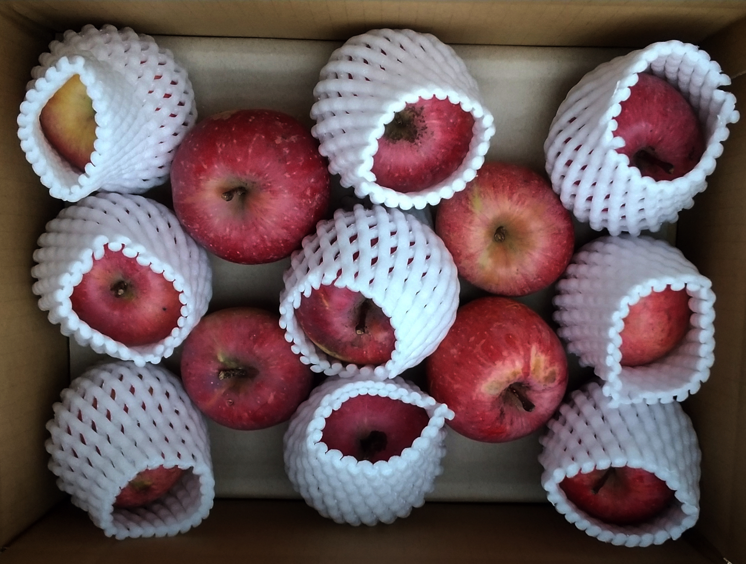 栽培期間中肥料・農薬不使用のフジ約2.5kg 中玉：青森県のレビュー