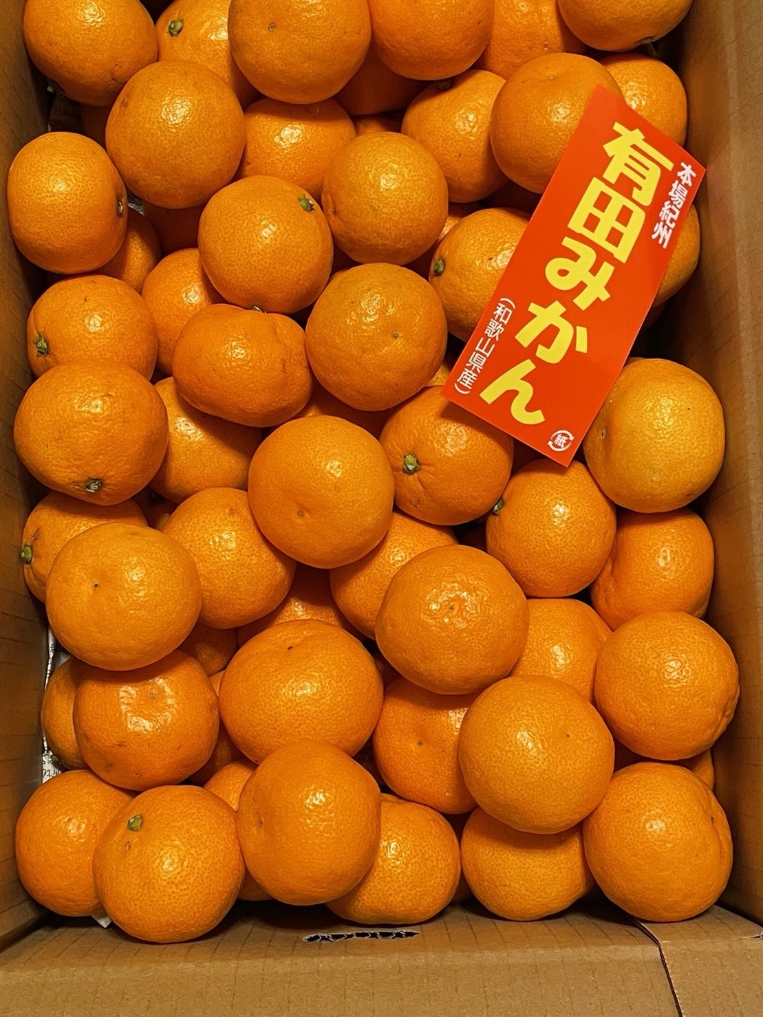 S,M,Lサイズ混合】2025年和歌山県産 有田みかん箱込約5kg：和歌山県の