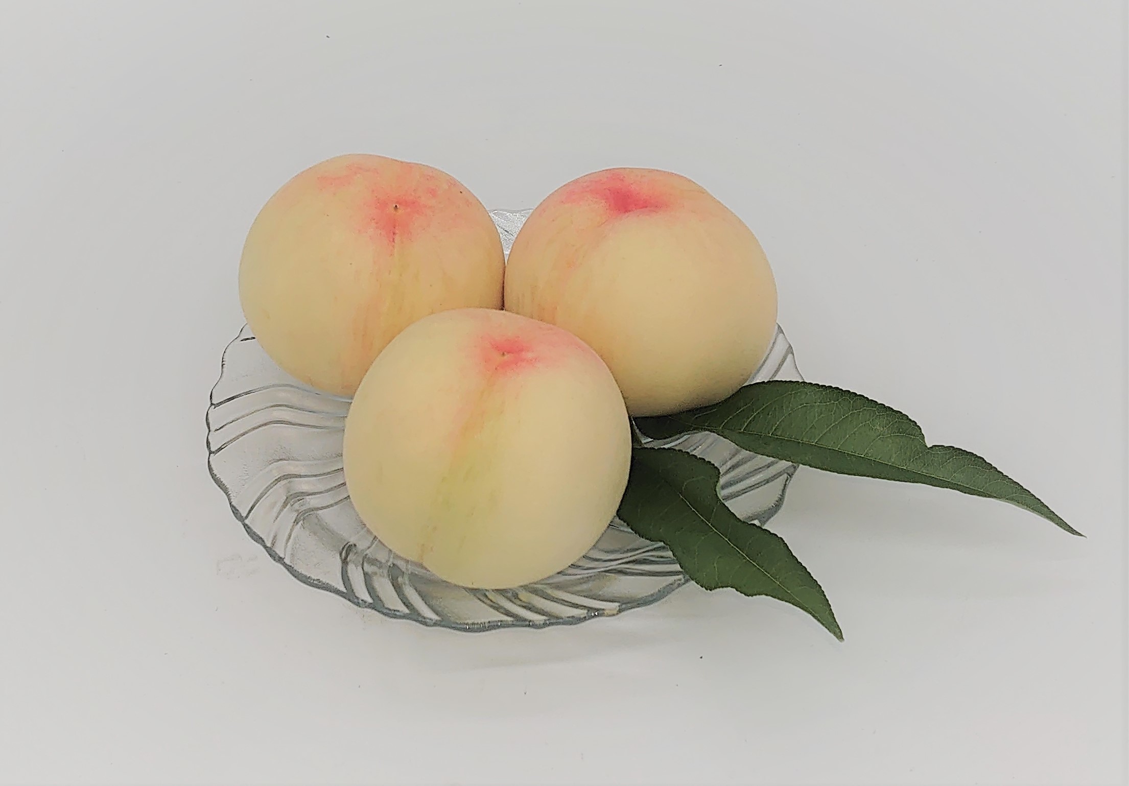 食品 岡山の桃 おかやま夢白桃 大玉13玉 約4.2キロ 7/29収穫 進物対応可能