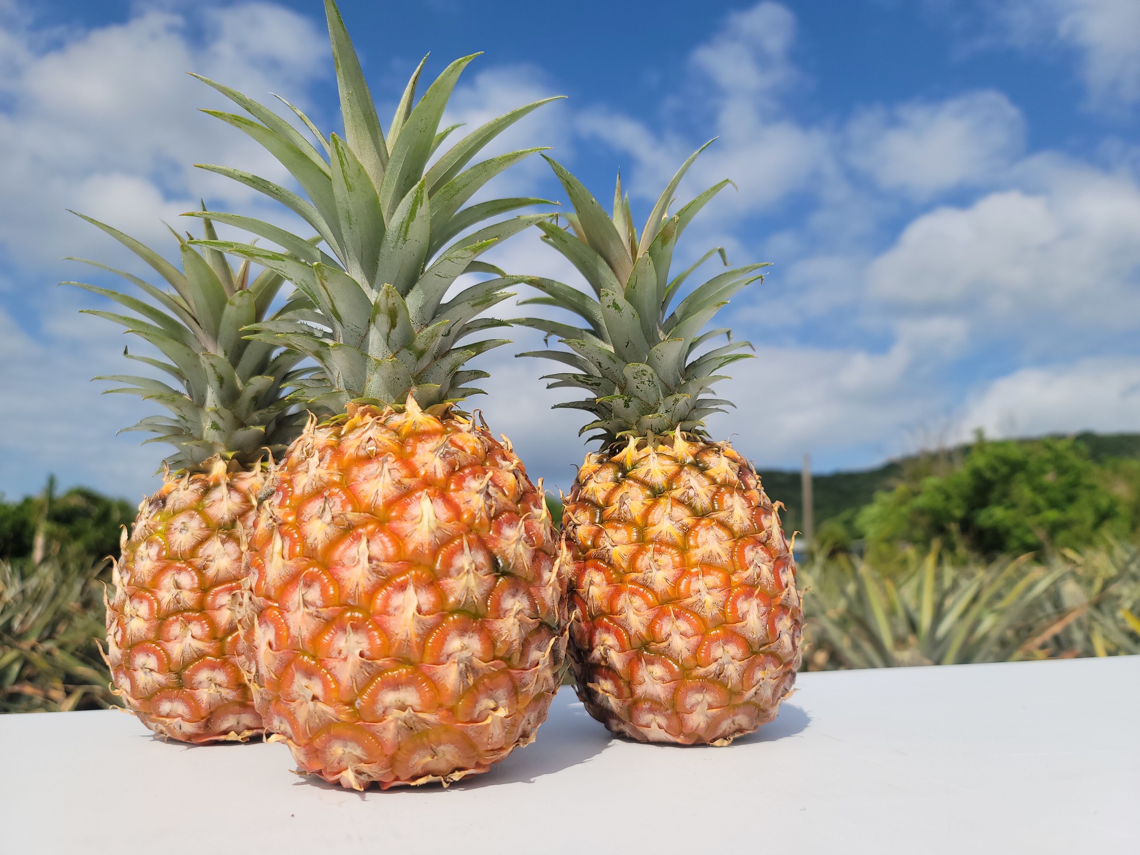 極上パイナップル》石垣島産ピーチパイン 3玉入り(2kg)：沖縄県の投稿