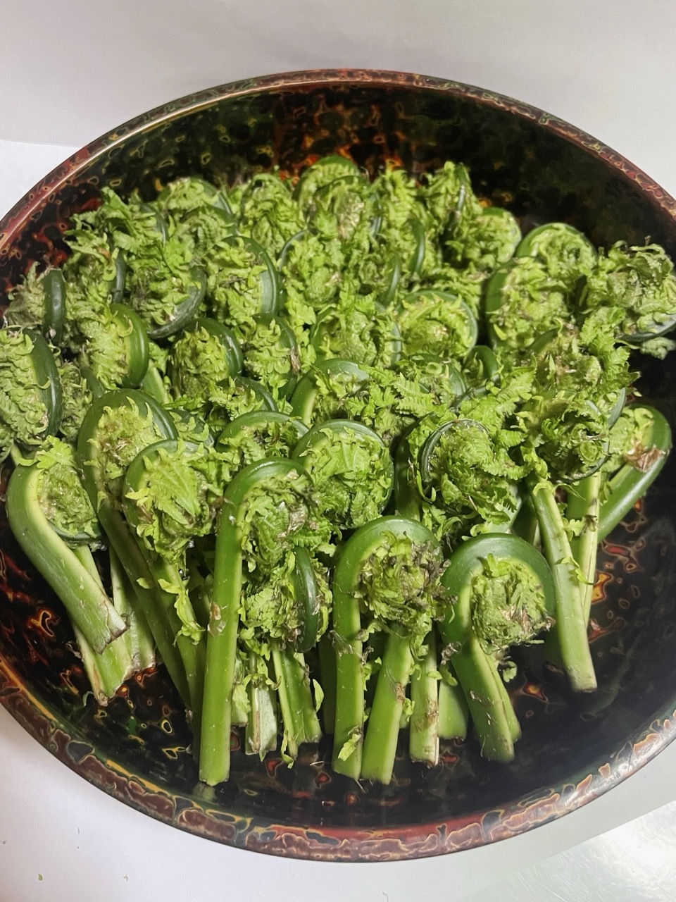 岩手県産 天然こごみ1kg 山菜 (画像200g)：岩手県のレビュー｜食べ