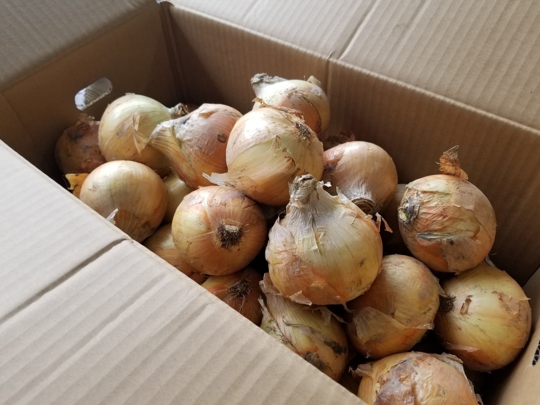 感謝特価『10kg777円』美味♪ 新玉ねぎ☆玉ねぎの名産地から直送