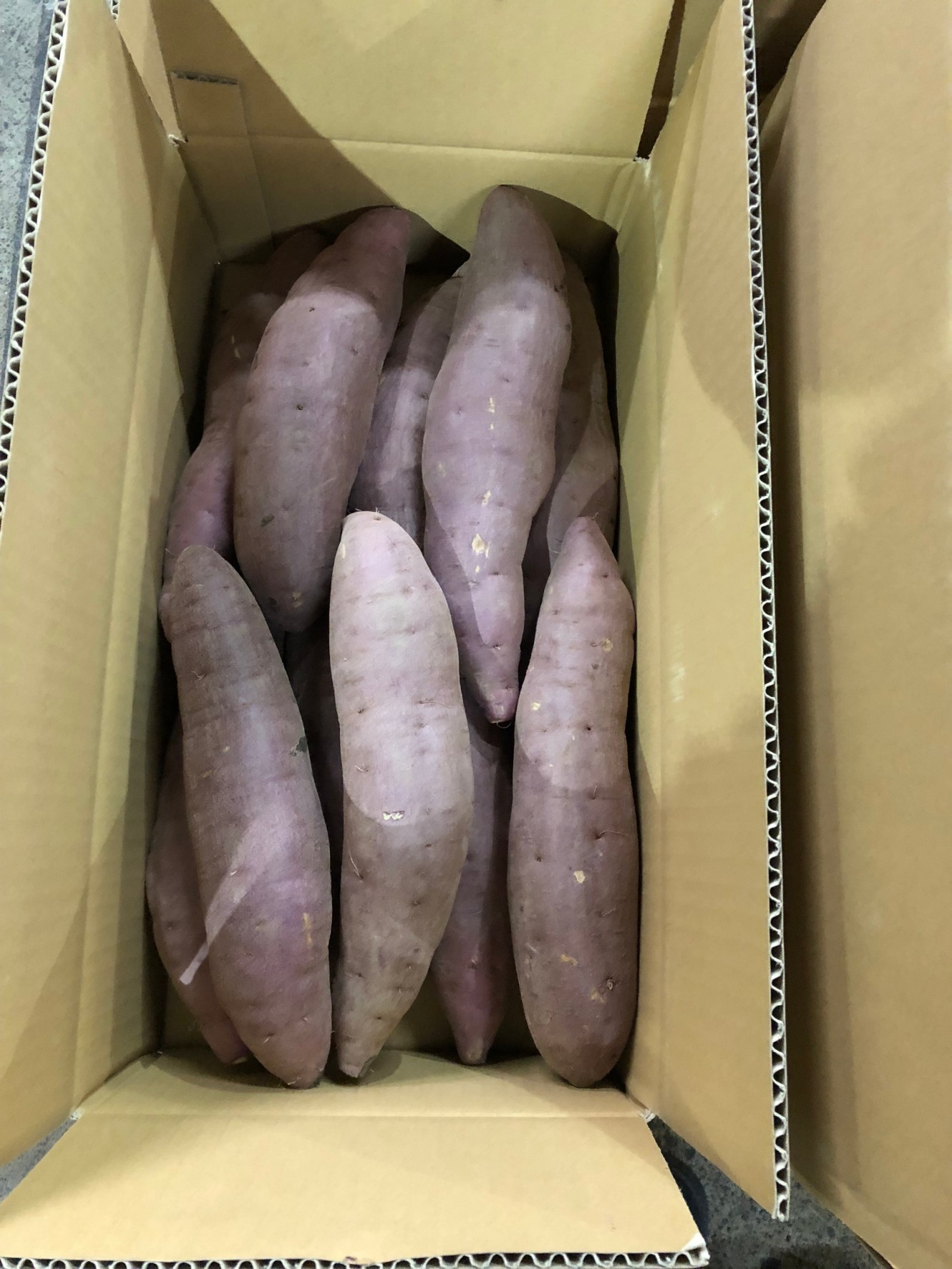 送料お得！ホクホクで栗みたいな甘さ！熟成さつまいも(10kg) 2L
