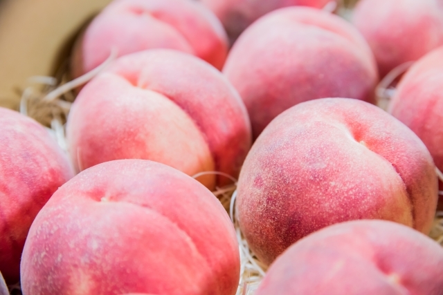 🍑【特秀品】さくら白桃 3kg 8～14玉 9月上旬発送 希少な桃 収穫した日