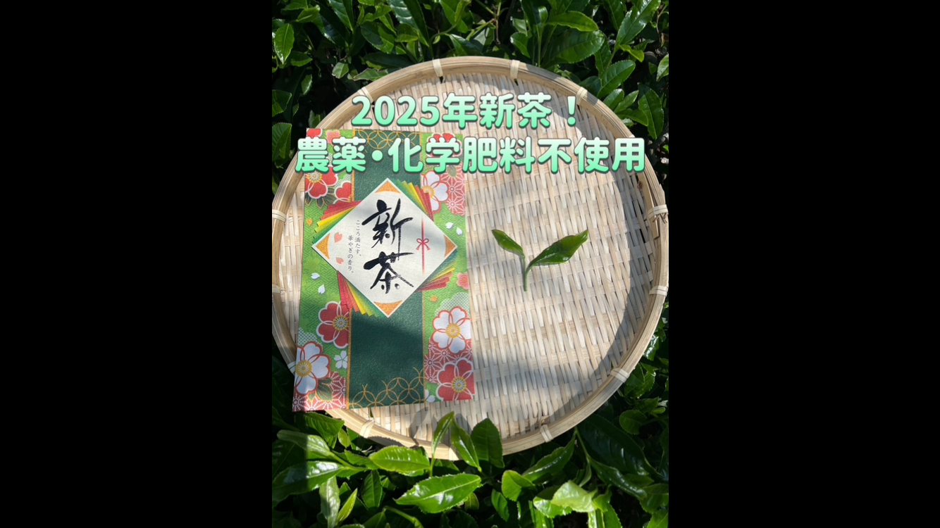 【無農薬】【新茶】伝統とこだわりの味！深蒸しかぶせ茶ティーバッグ3g×50個 2025年新茶＊【苦くない緑茶】伝統とこだわりの味！まろやかな甘味と