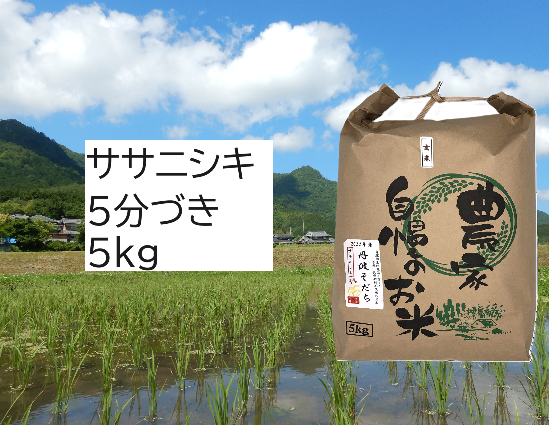 2025年産】自然栽培米『ササニシキ』5分づき5kg：兵庫県のレビュー