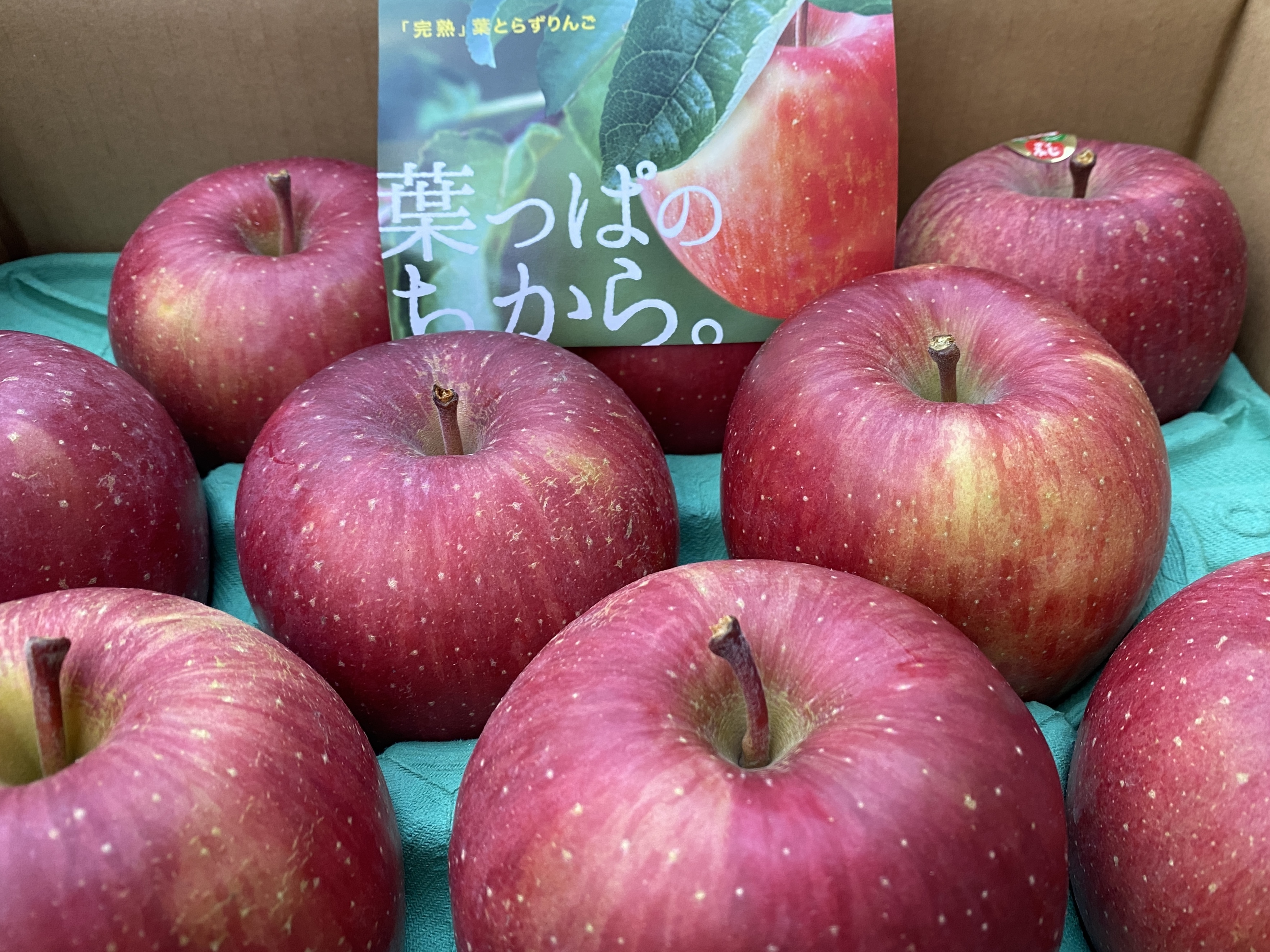 高糖度 葉とらず完熟サンふじ ぜひ一度食べてほしい 約10個前後 熨斗付き対応可 青森県のレビュー一覧 食べチョク 農家 漁師の産直ネット通販 旬の食材を生産者直送