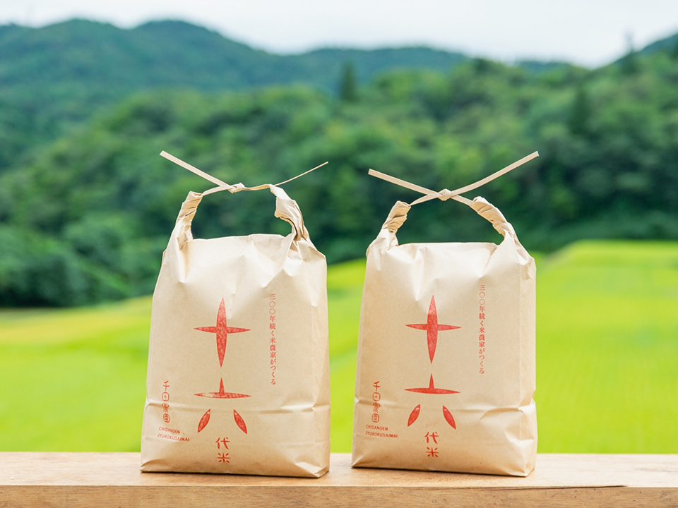 令和6年産 新米ひとめぼれ 10kg 農家直送