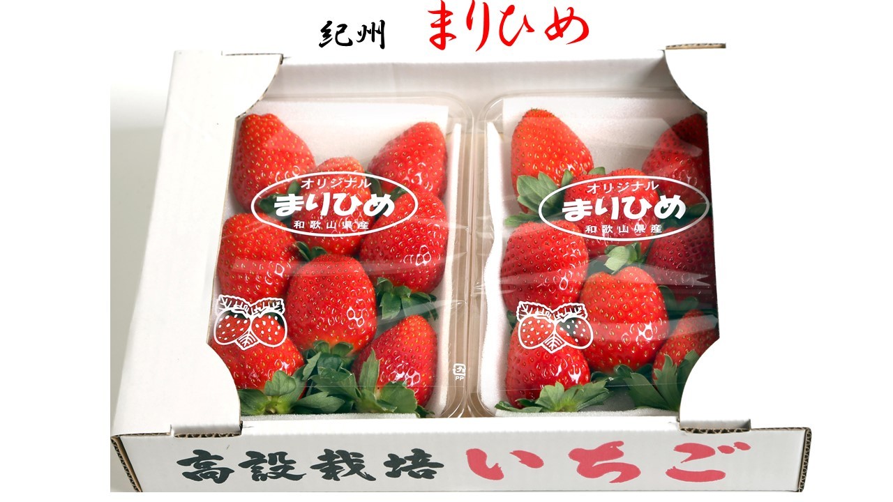 いちご（まりひめ）　デラックスサイズ　５箱　まーやんページ 朝採りいちご まりひめ デラックスサイズ：和歌山県のレビュー｜食べ