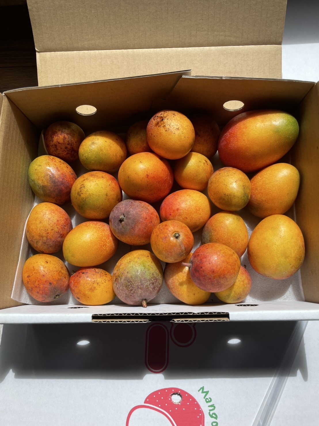 ※ すきとっとよ様ご注文品※沖縄県産ミニマンゴー3kg Amazon.co.jp: ミニマンゴー 訳あり3キロ 沖縄県産 : 食品