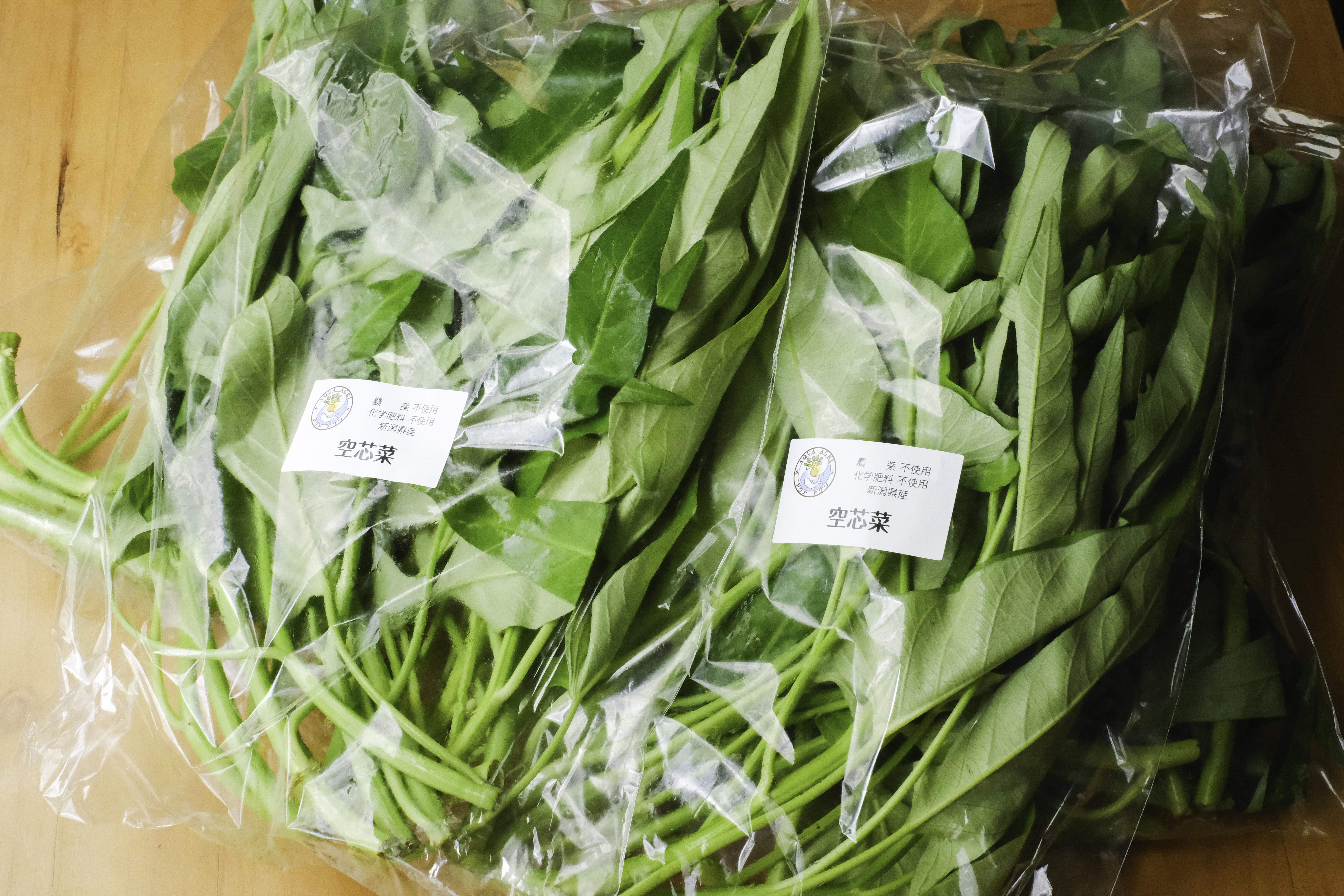化学農薬・肥料不使用の空芯菜（約1.0kg）お魚が野菜を育てる「アクア