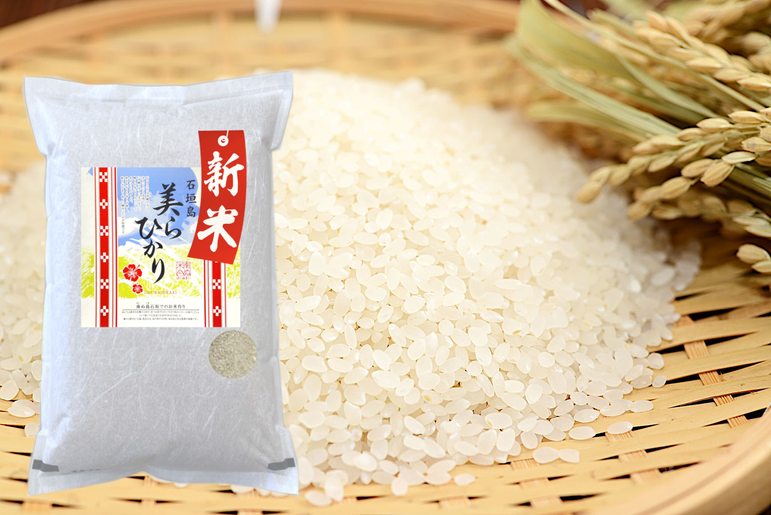 白米5kg　残留農薬不使用 新米】令和7年産【白米5kg】残留農薬ゼロ！ 石垣島産 美らひかり：長野