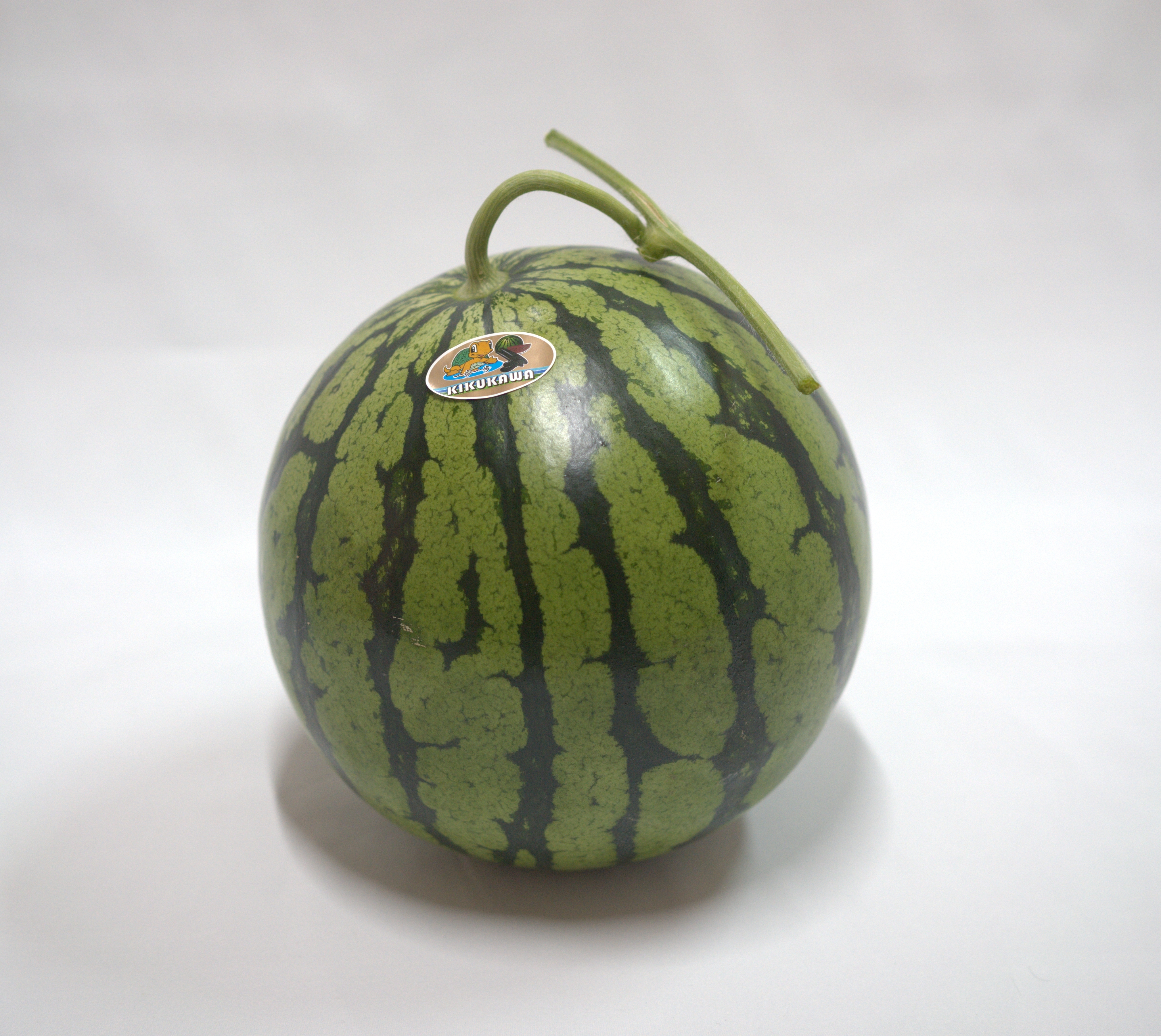 羅皇ｻﾞ・ｽｳｨｰﾄ】熊本植木 大玉スイカ：熊本県のレビュー｜食べチョク