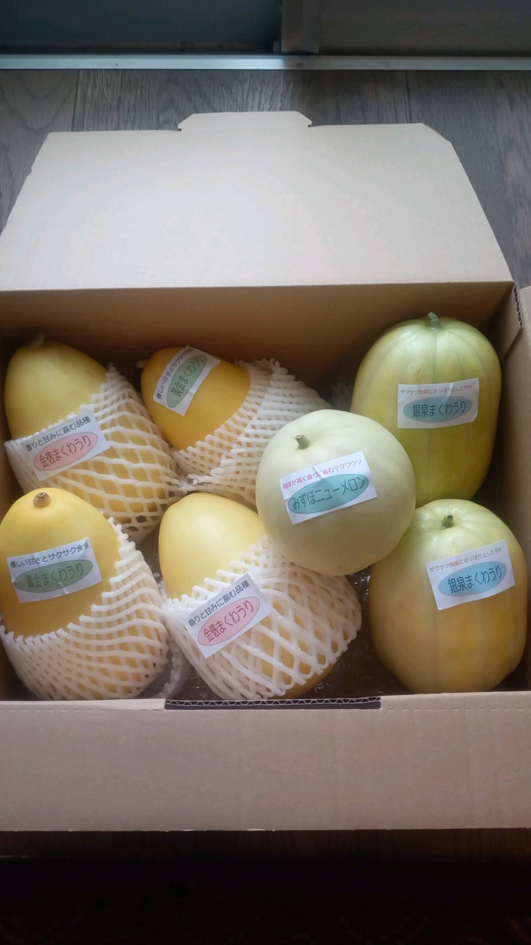 自然の甘さとサクサク食感のマクワウリセット（その他季節の野菜も