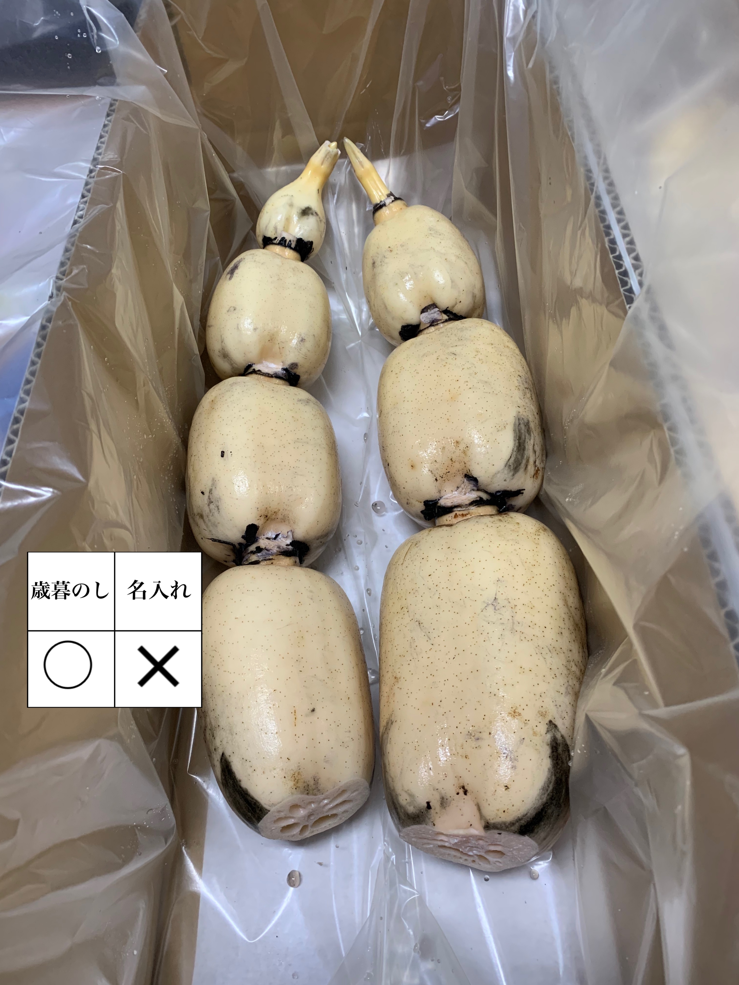 2022年・2023年 2連覇！れんこんグランプリ 最優秀賞 受賞！ 2キロ