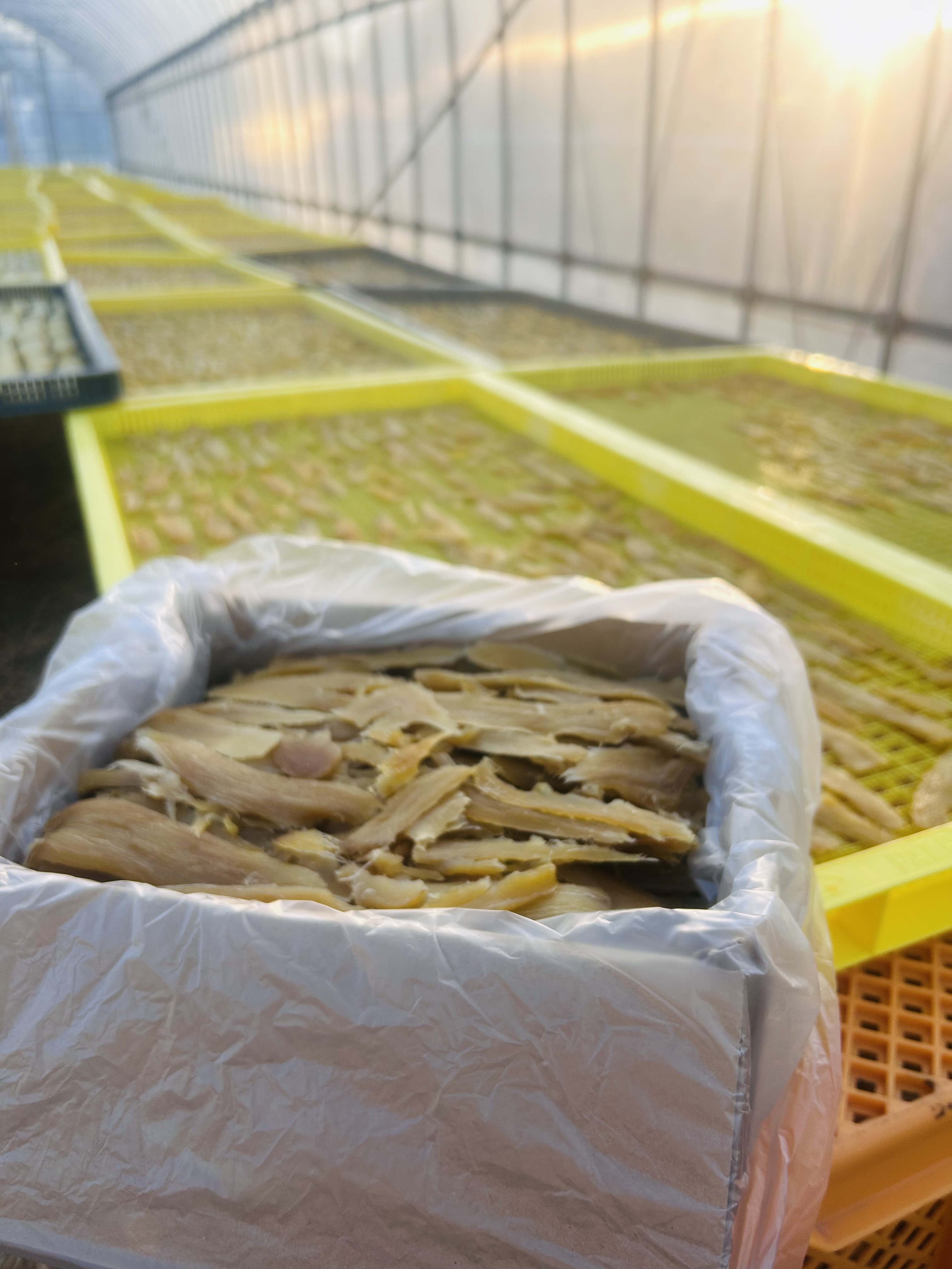 干し芋 べにはるか 2kg 端っこ 家庭用:茨城県の投稿|食べチョク|産地直送(産直)お取り寄せ通販 - 農家・漁師から旬の食材を直送