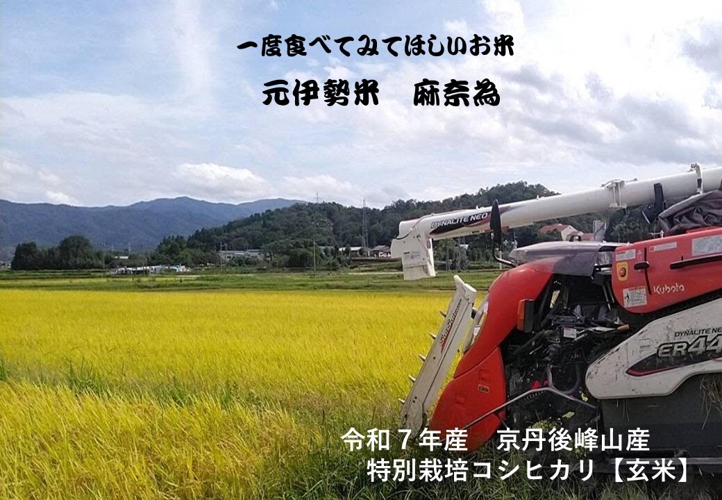 玄米】【令和7年度・定期新米予約】♣️京都・京丹後峰山産 特別栽培米