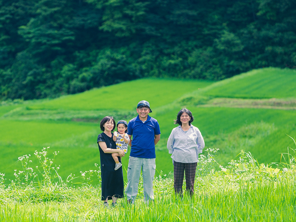 農家直送！！令和６年度 精米 20kg お助け米20kg】令和6年産 あきたこまち 家計お助け米 農家直送便