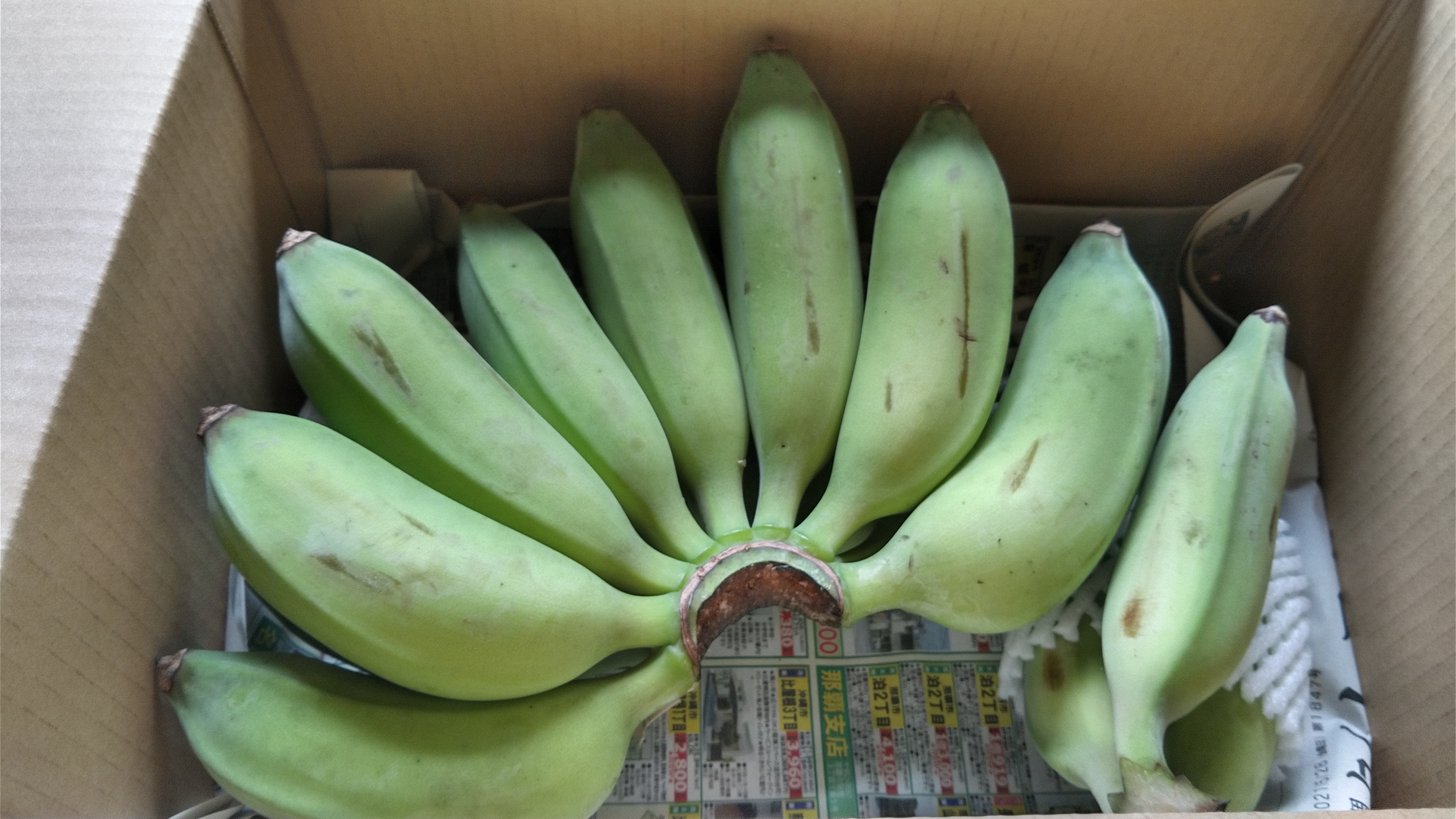 荘司さんが作る『アップルバナナ』沖縄県産 1.5kg（1〜2房