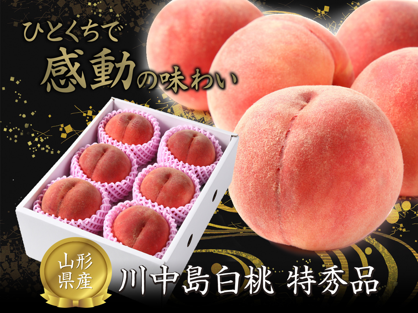 2026年度先行予約】 川中島白桃 特秀品 約2㎏（4玉～8玉） 8月下旬～9