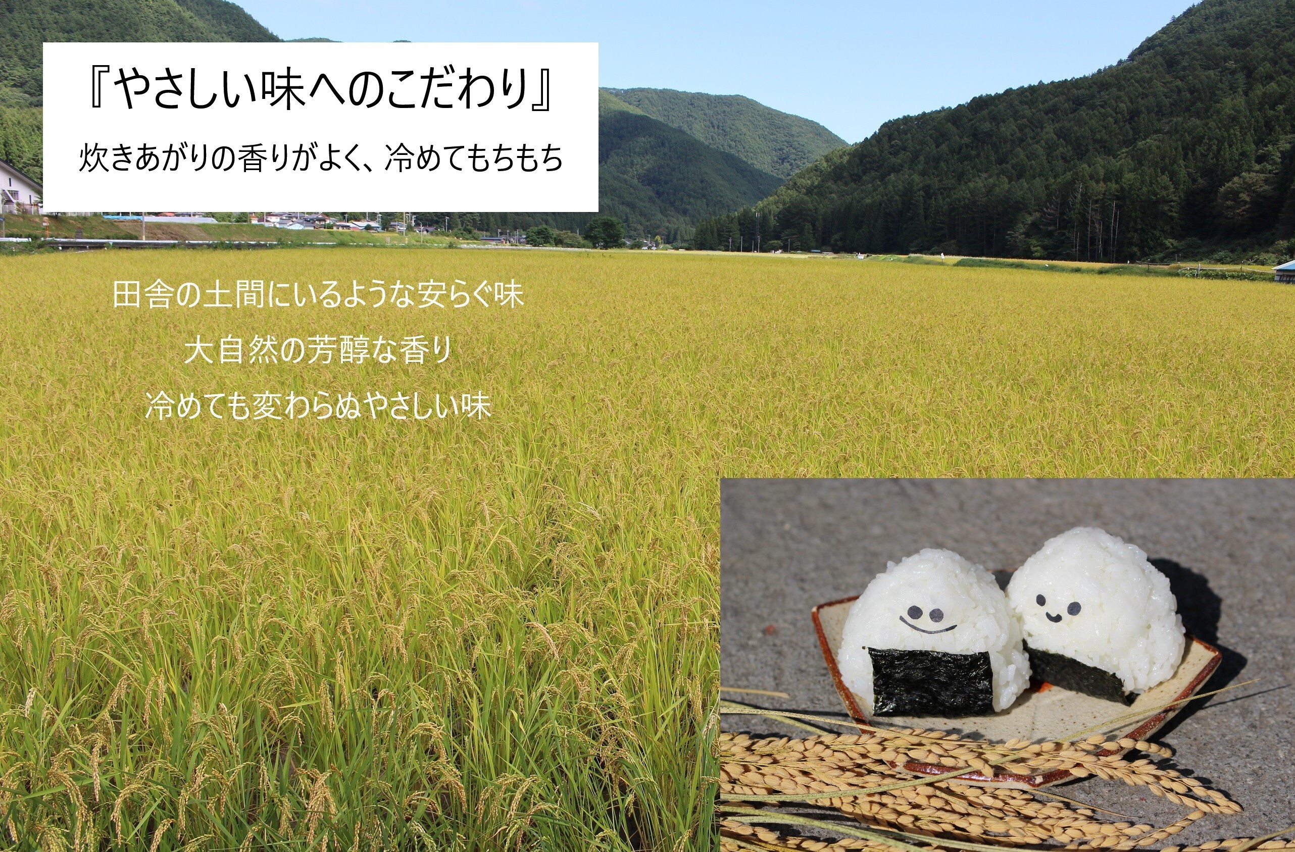 🍙新米・令和8年産｜自然栽培米「ミルキークイーン」玄米3kg｜もっ