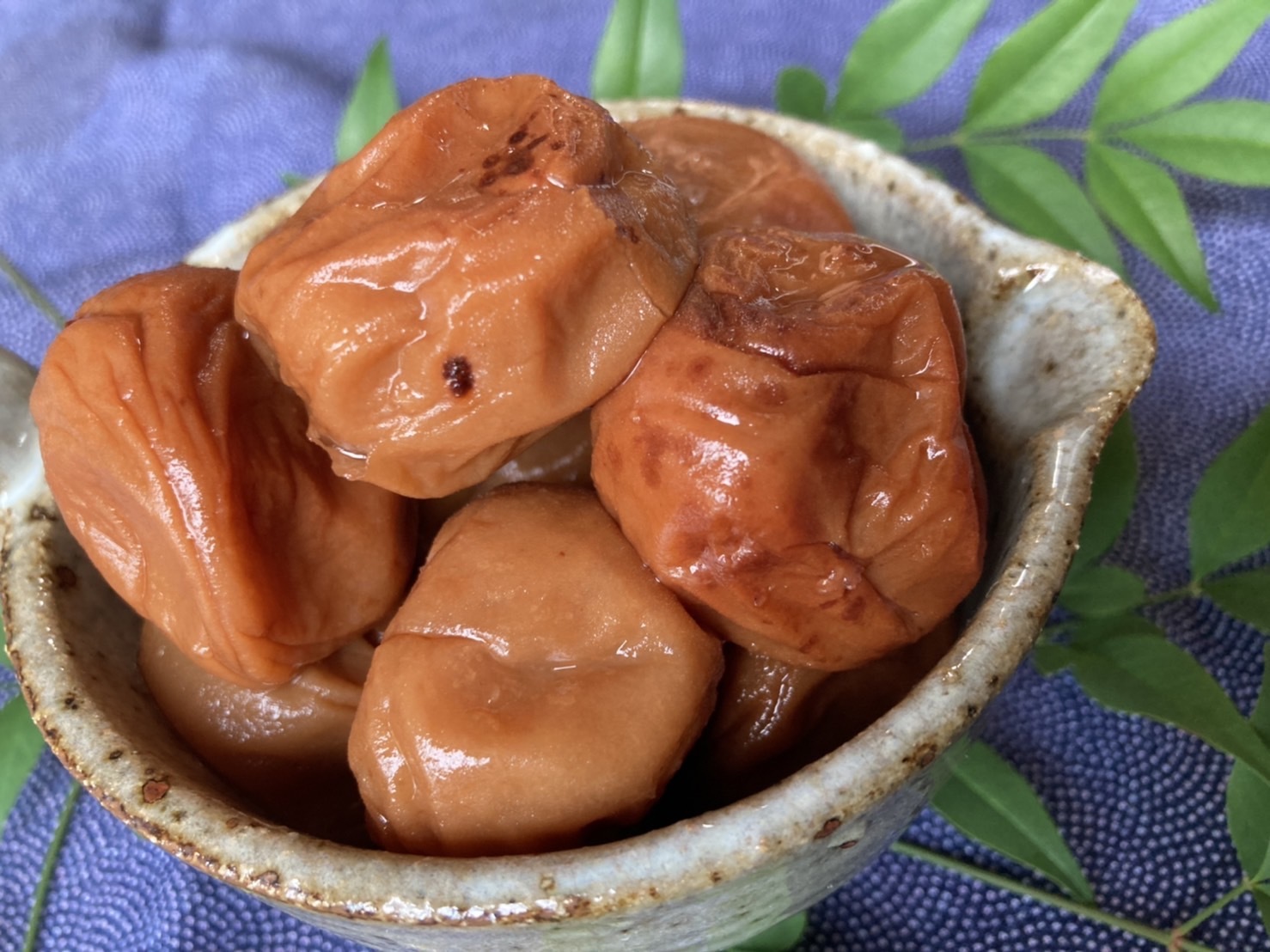 500g)無添加☆ 昔ながらのすっぱい！梅干し[紀州みなべ産]：和歌山県の