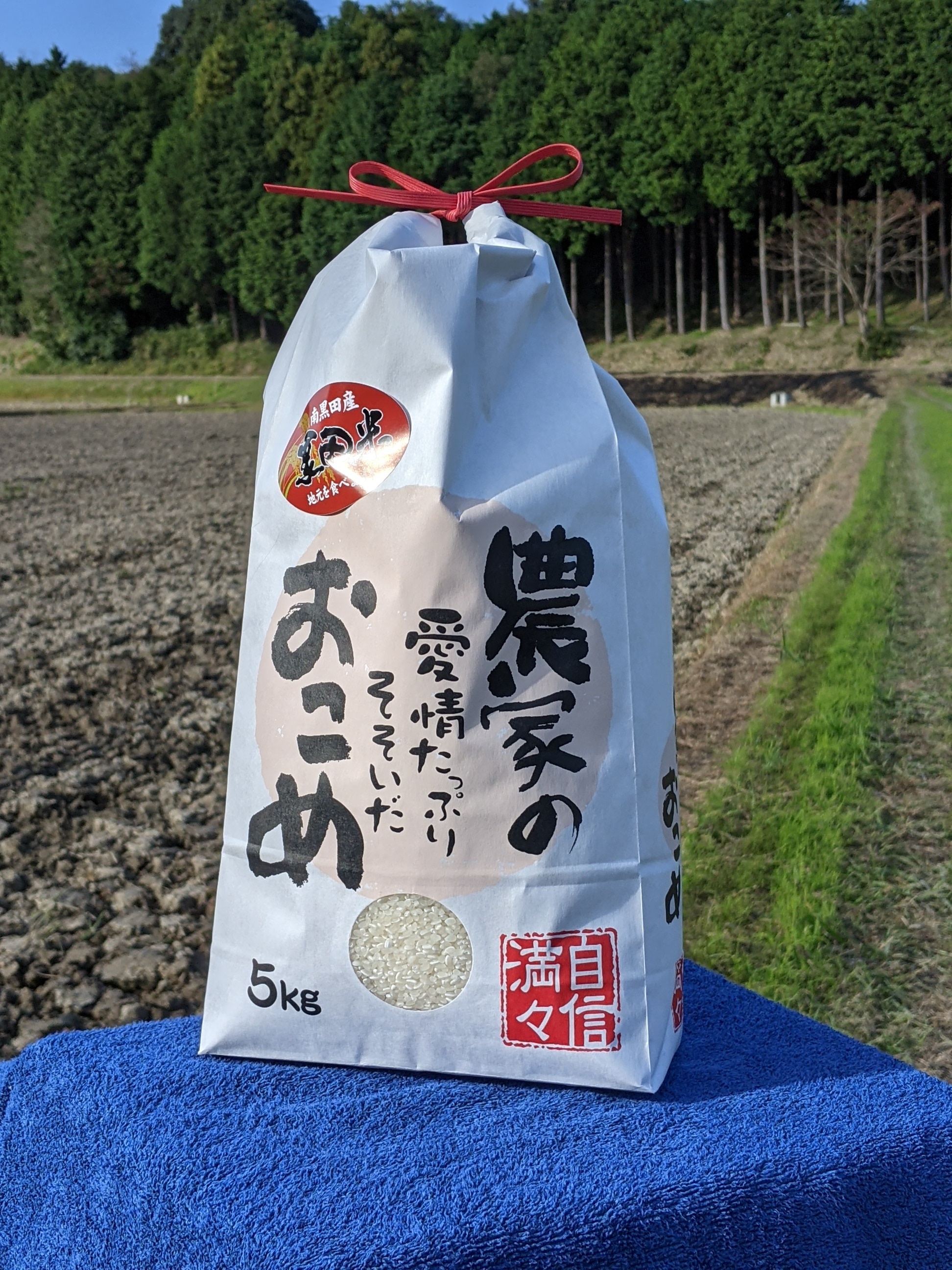 令和8年新米：常温便】 コシヒカリ4.5kg 農薬・化学肥料不使用米