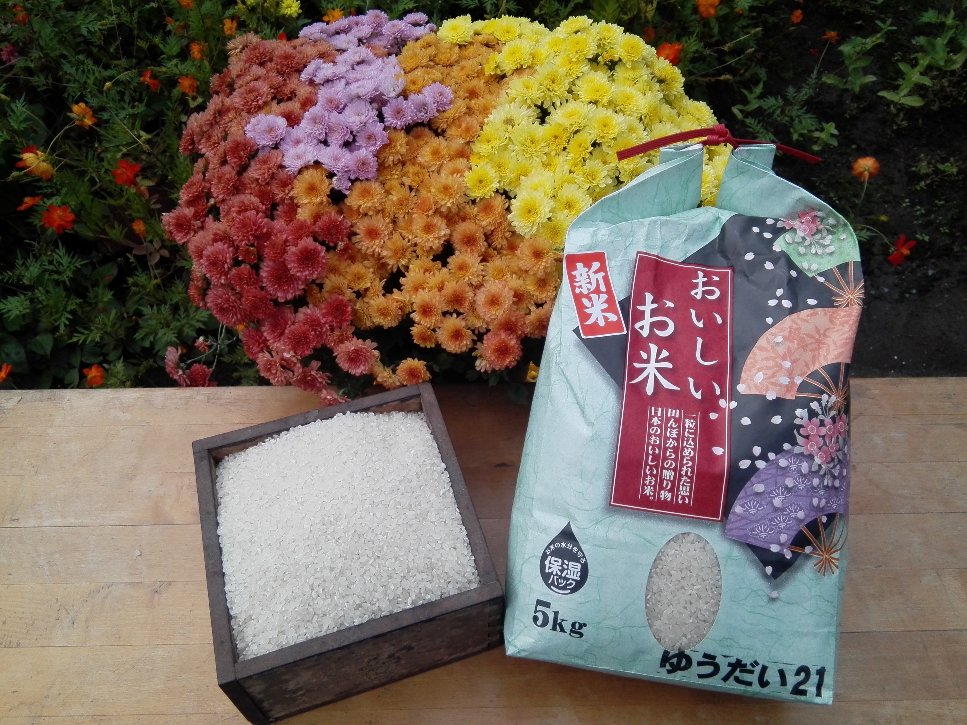Amazon.co.jp: 萩原農場 多古米 コシヒカリ 【玄米】（30㎏）令